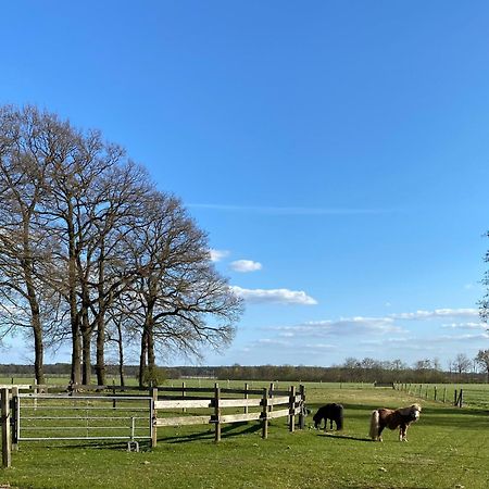 Ferienhof Westermann Waldblick Lahden Екстер'єр фото
