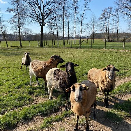 Ferienhof Westermann Waldblick Lahden Екстер'єр фото