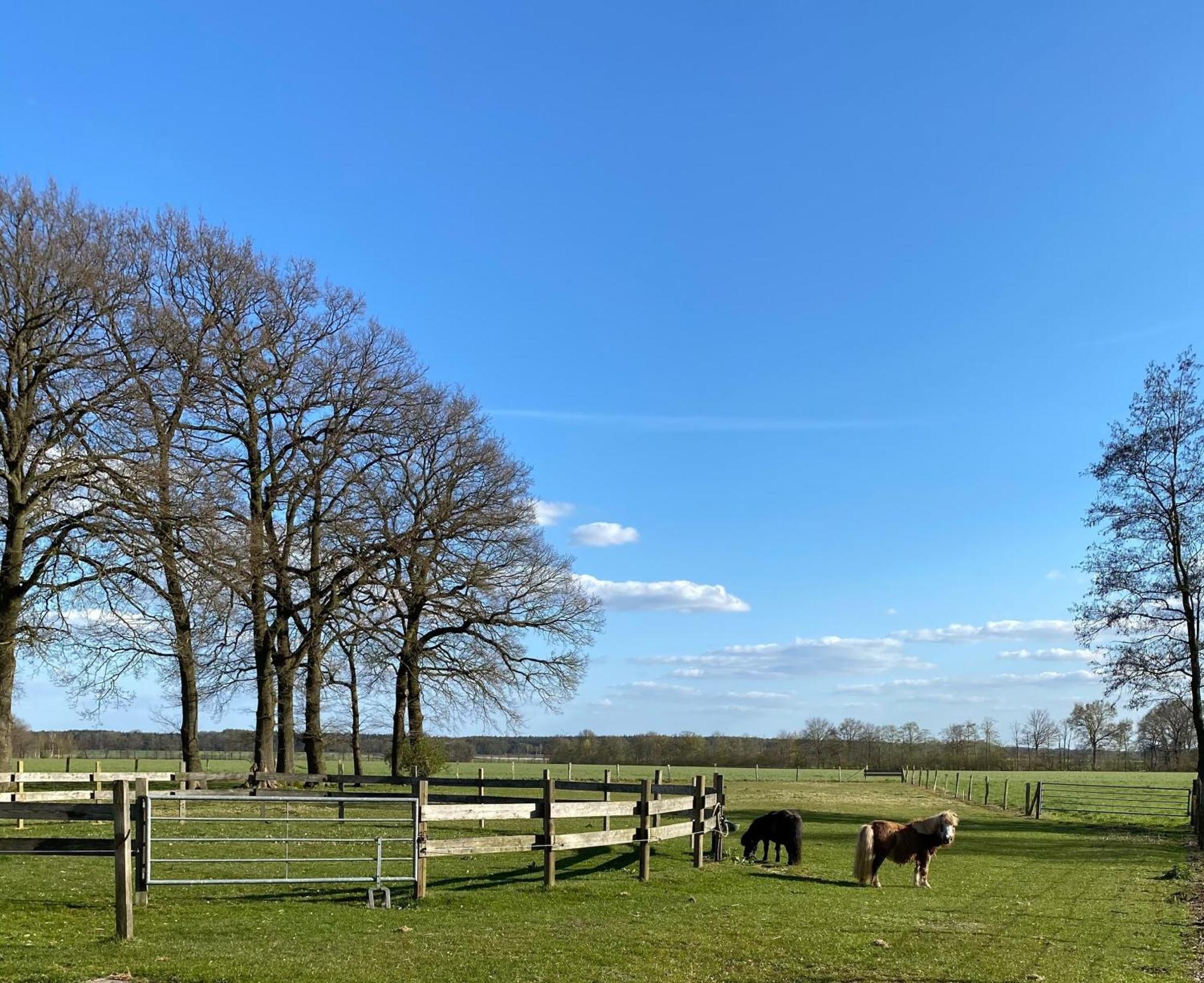 Ferienhof Westermann Waldblick Lahden Екстер'єр фото